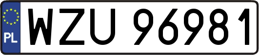 WZU96981