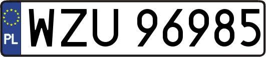 WZU96985