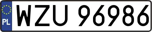 WZU96986