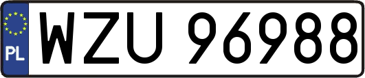 WZU96988