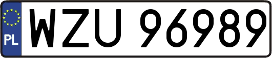WZU96989