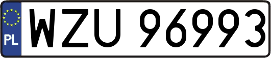 WZU96993