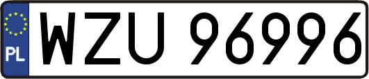 WZU96996