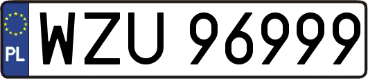 WZU96999
