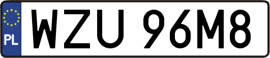 WZU96M8