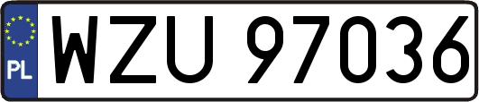 WZU97036