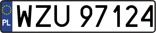 WZU97124
