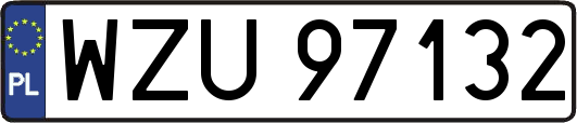 WZU97132