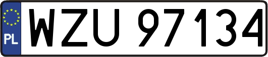 WZU97134