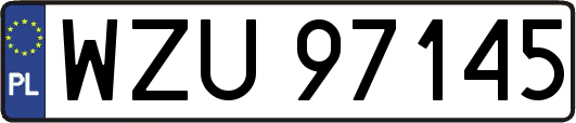 WZU97145