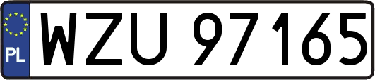 WZU97165
