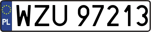 WZU97213