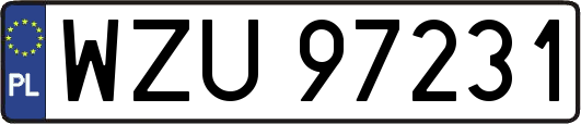 WZU97231