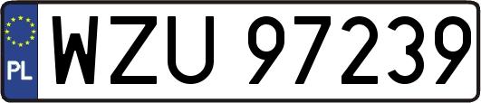 WZU97239