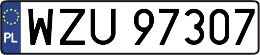 WZU97307