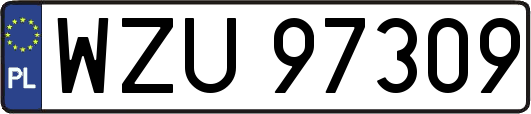 WZU97309