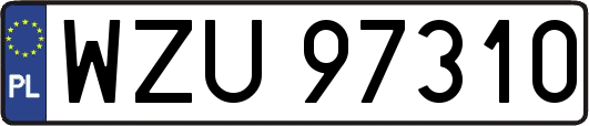 WZU97310