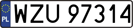 WZU97314