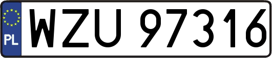 WZU97316