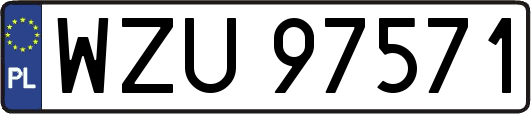 WZU97571
