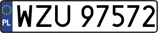 WZU97572