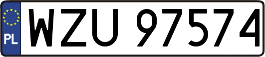 WZU97574
