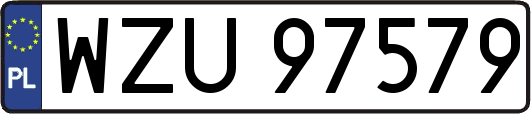 WZU97579
