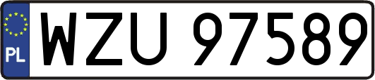 WZU97589