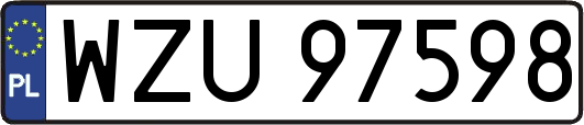 WZU97598
