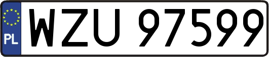 WZU97599