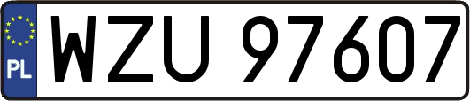 WZU97607