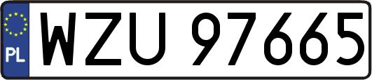 WZU97665