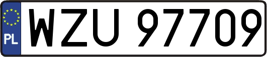 WZU97709