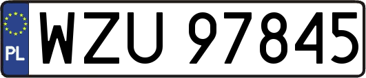 WZU97845