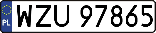 WZU97865