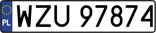 WZU97874