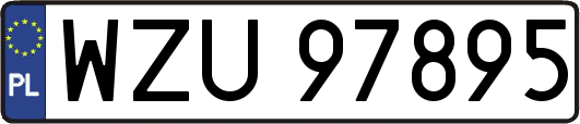 WZU97895