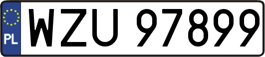 WZU97899