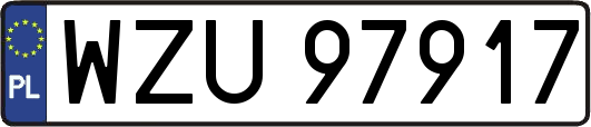 WZU97917