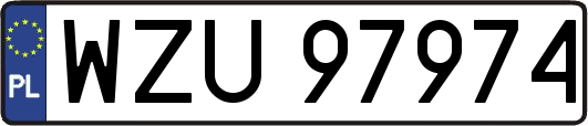WZU97974
