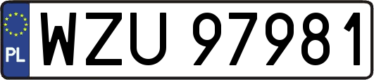 WZU97981
