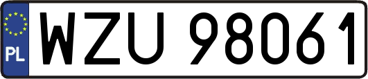 WZU98061