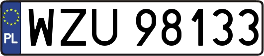 WZU98133