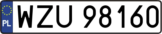 WZU98160