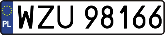 WZU98166