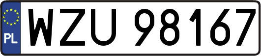 WZU98167