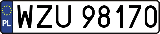 WZU98170