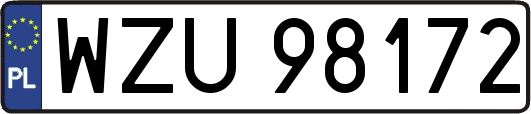 WZU98172