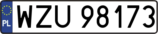 WZU98173