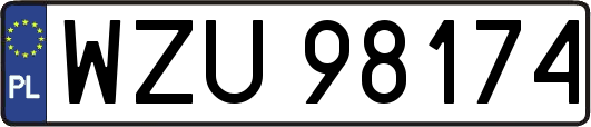 WZU98174